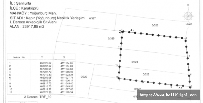 Yoğunburç ile ilgili Karar Resmi Gazete'de Yayımlandı