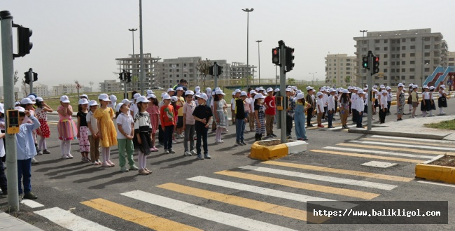 Öğrencilerden Trafik Haftası Kutlaması