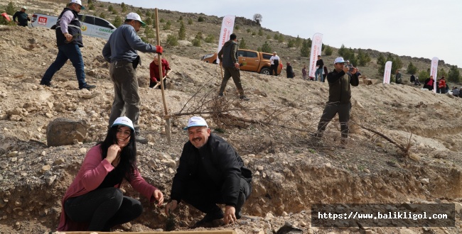 Şanlıurfa’da GARD Ormanı İçin Fidanlar Dikildi