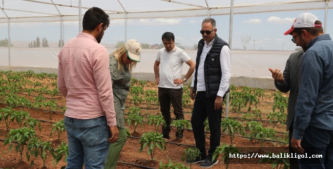 Eyyübiye Seraları Açılışa Gün Sayıyor