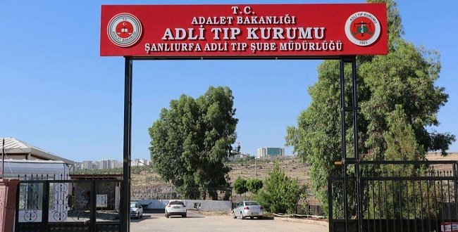 Harran'da devrilen traktörün altında kalan sürücü hayatını kaybetti