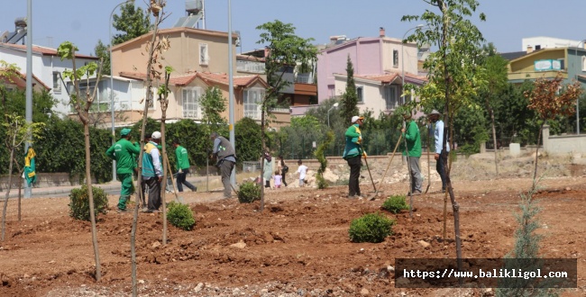 KARAKÖPRÜ'DE YENİ YEŞİL ALANLARIN YAPIMI SÜRÜYOR