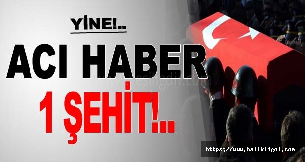 Sabahın Erken Saatlerinde Acı Haberi MSB Duyurdu: 1 Şehit