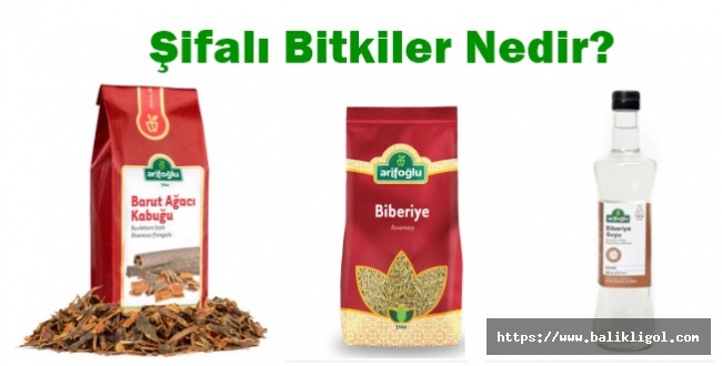 Şifalı Bitkiler