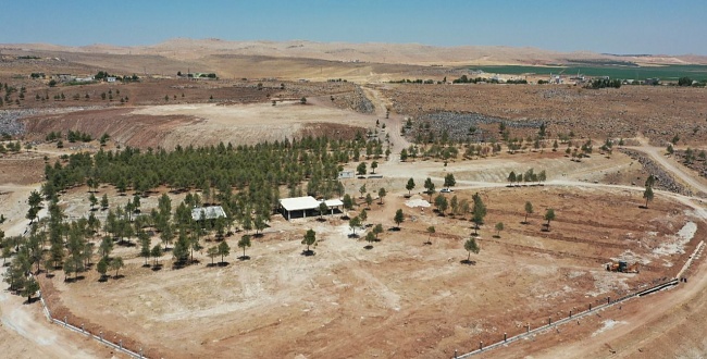 Şanlıurfa Büyükşehir Belediyesinden Kır Düğünü Konsepti