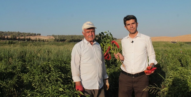 HÜDA PAR İl Başkanı'ndan Urfalı Milyoner Gençler Proje Önerisi 