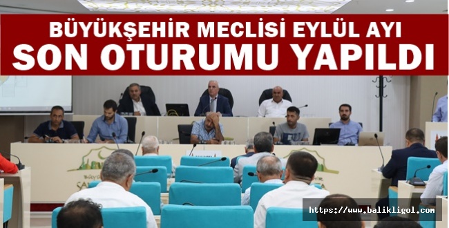 Şanlıurfa Belediye Meclisi Harran Ve Ceylanpınar İmarını Onayladı