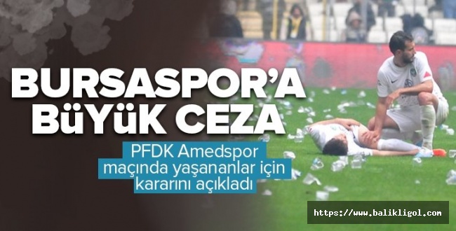 TFF'den Bursaspor’a 9 maç saha kapatma cezası