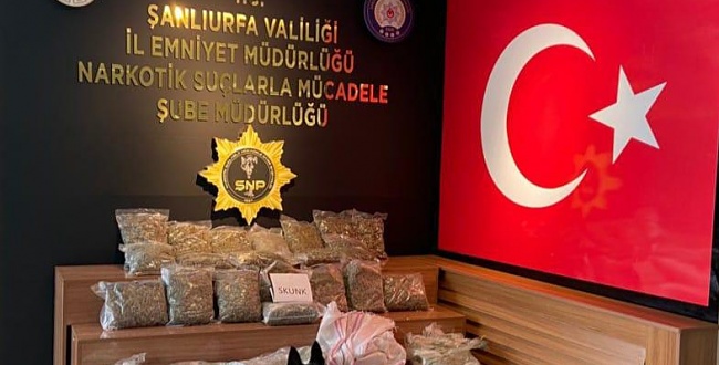 Urfa'da durdurulan araçta 15 kilo 800 gram skunk maddesi ele geçirildi