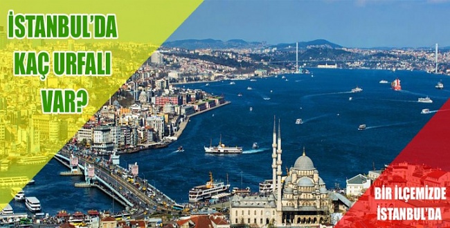 İstanbul'da Yaşayan Urfalı Sayısı açıklandı! İşte o Rakamlar