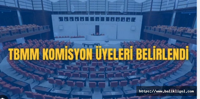 TBMM Komisyon Üyeleri Seçildi! Peki, Urfa Vekilleri Hangi Komisyonda?