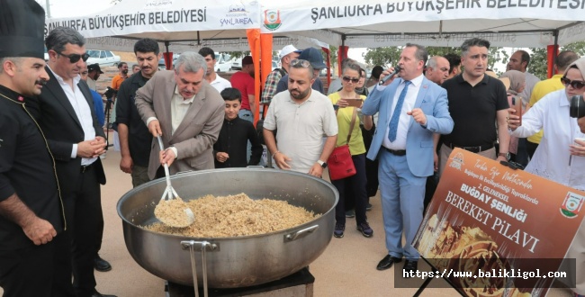 Başkan Beyazgül: Buğday’ın Atası Şanlıurfa’dadır