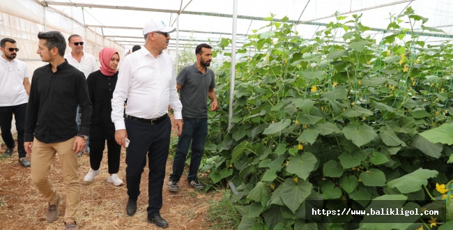 Eyyübiye Sera Kent Hedefine Ulaşıyor