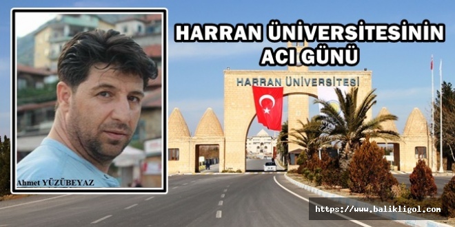 Harran Üniversitesi Bu Personeline Ağlıyor