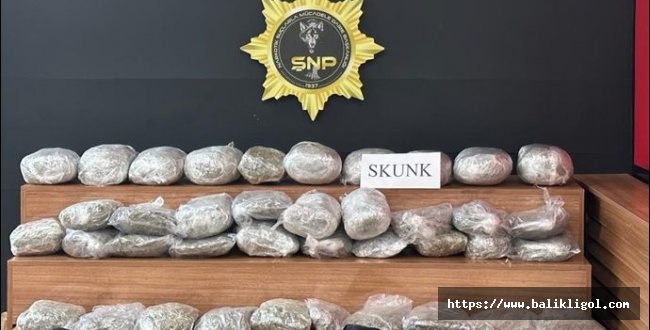 Şanlıurfa 'da 32 kilo 600 gram Skunk ele geçirildi