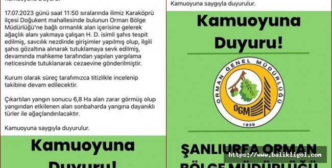 Urfa'daki Orman Yangınında bir kişi tutuklandı