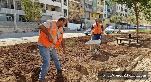 Eyyübiye Parklarında Sonbahar Çalışması