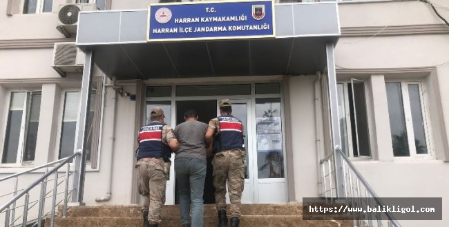 FETÖ'den aranan şahıs Harran'da yakayı ele verdi