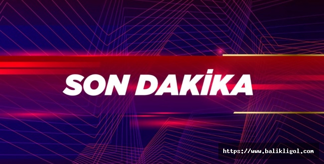 Şanlıurfa'da silah kaçakçılığı: 2 tutuklama