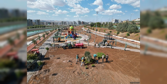 Şanlıurfa’ya Tıbbi Aromatik Parkı Yapılacak