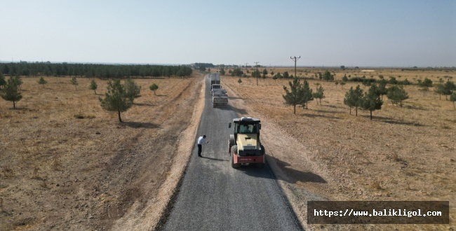 Büyükşehir’den Suruç İlçesinde Asfalt Çalışması