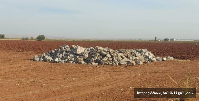 Urfa’da İddialara Göre Tarım Arazi’nde Betonlaşması Tehlikesi