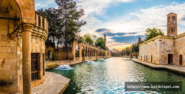 TÜİK Türkiye'nin En Zengin İllerini Açıkladı! Urfa en sonlarda...