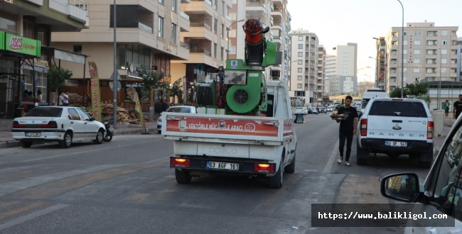 Şanlıurfa Büyükşehir Belediyesi vektörle mücadelede ediyor