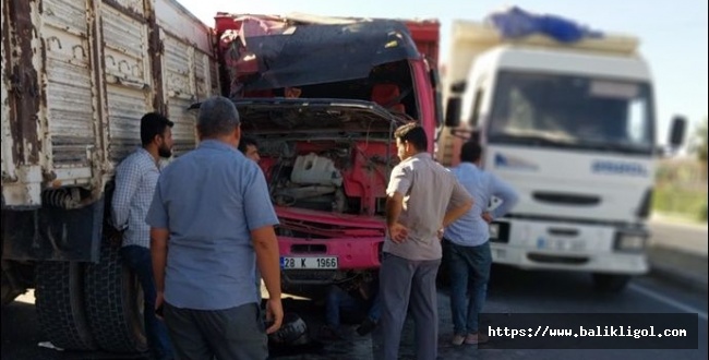 Şanlıurfa'da Trafik Kazası: İki Kamyon Çarpıştı