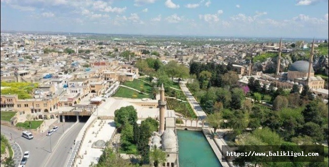 Şanlıurfa'da 6 İlçeye Yeni Kaymakam Atandı