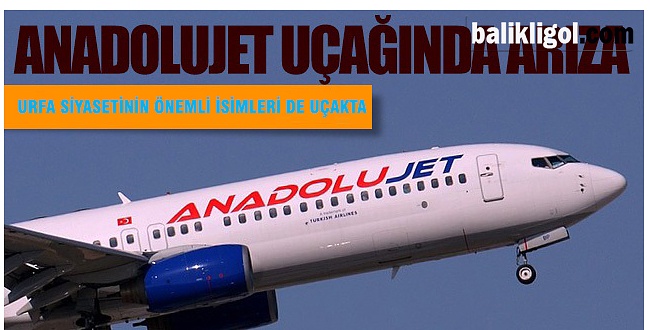 Urfa-Ankara Seferi Yapan Uçak Arıza Yaptı
