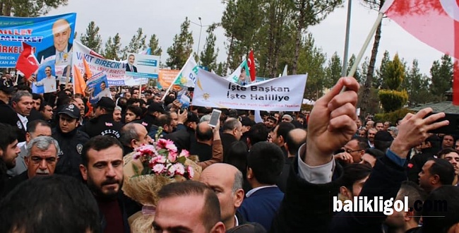 AK Parti Şanlıurfa Belediye Başkan adayları coşkuyla karşılandı