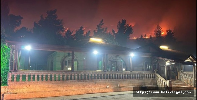 Şanlıurfa'daki orman yangını söndürüldü
