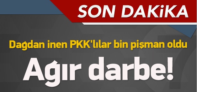 Mardin'de çatışma: 5 PKK'li öldürüldü