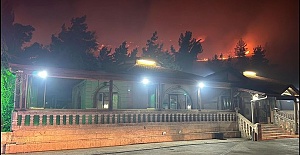 Şanlıurfa'daki orman yangını söndürüldü