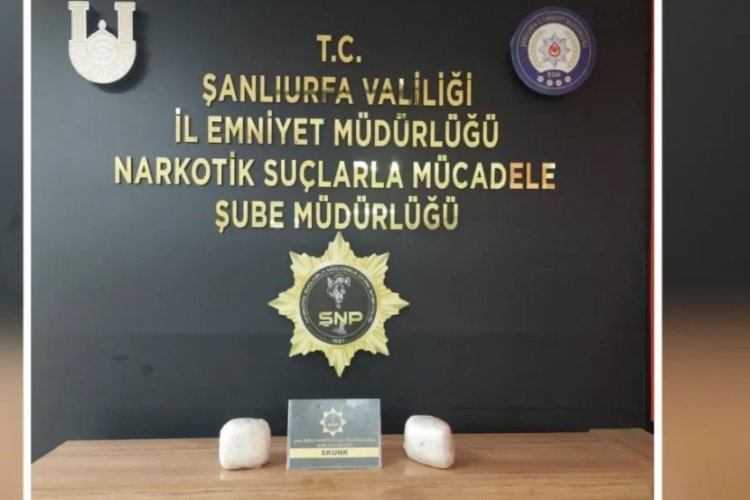 Şanlıurfa’da Skunk Ele Geçirildi