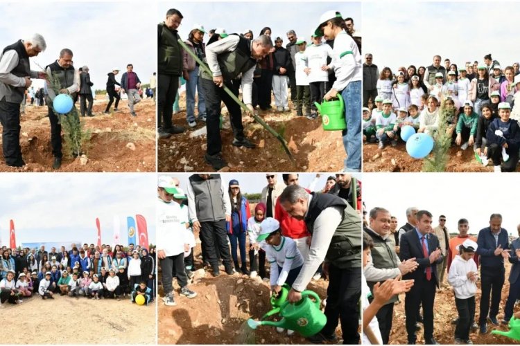 Şanlıurfa’da Binlerce Fidan Toprakla Buluştu