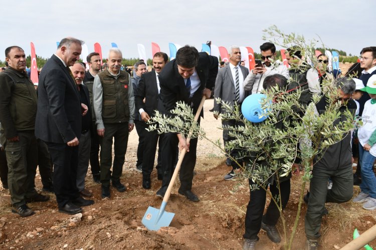 Tema Vakfından 11 Kasım Ağaç Dikme Teşekkürü