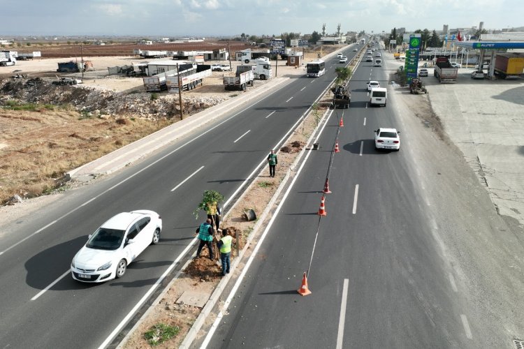 Şanlıurfa Büyükşehir Belediyesi Ağaçlandırma Çalışmalarını Sürdürüyor