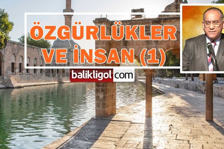 ÖZGÜRLÜKLER VE İNSAN (1)