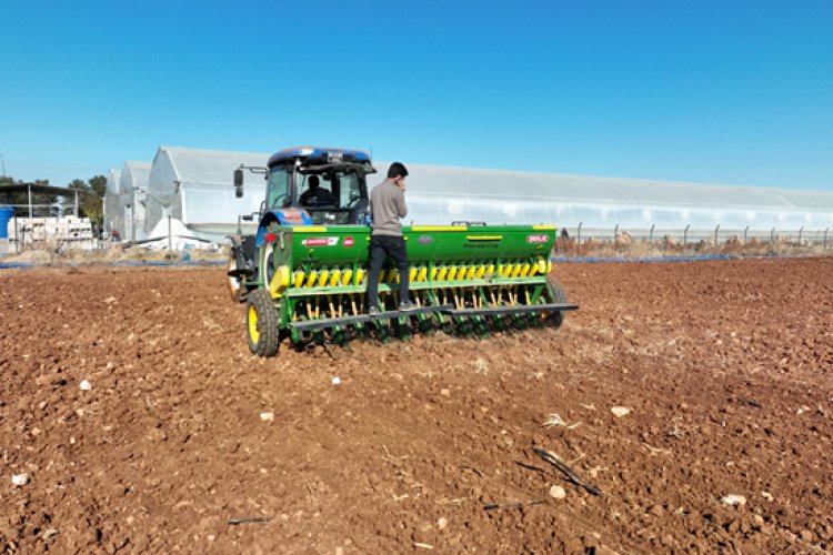 Şanlıurfa Büyükşehir Belediyesi Nohut Ekimine de Başladı