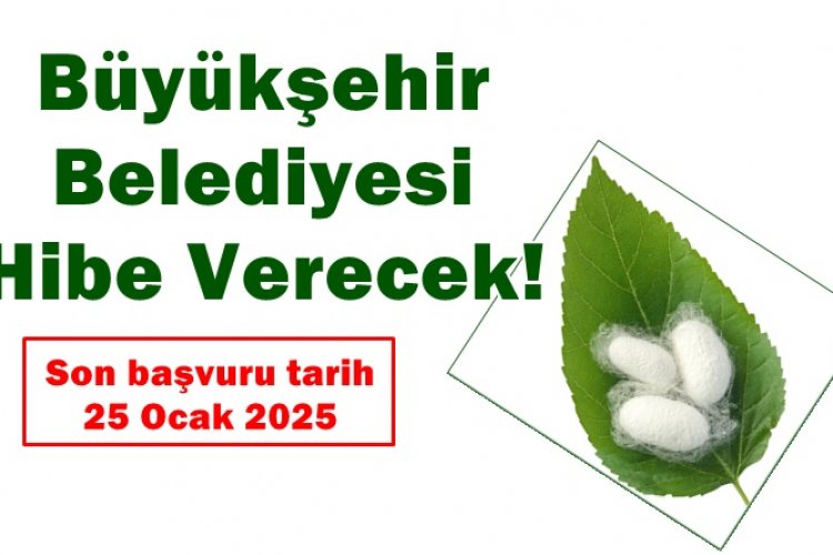 O İşi Yapan Girişimciye Şanlıurfa Büyükşehir Belediyesi Hibe Verecek!..