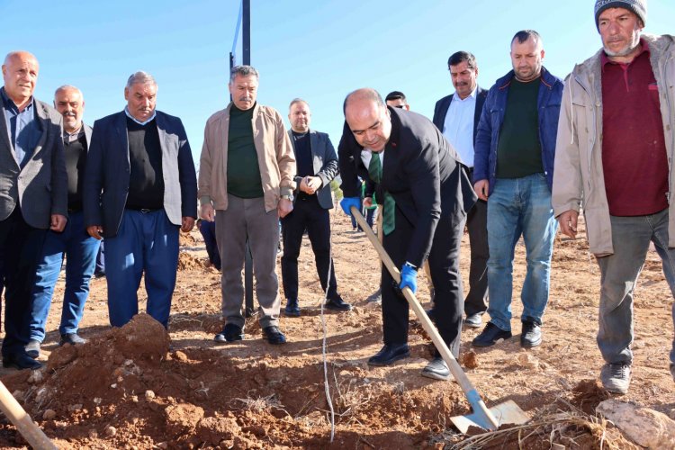 KARAKÖPRÜ'DE AĞAÇLANDIRMA KAMPANYASI KIRSALA YAYILIYOR