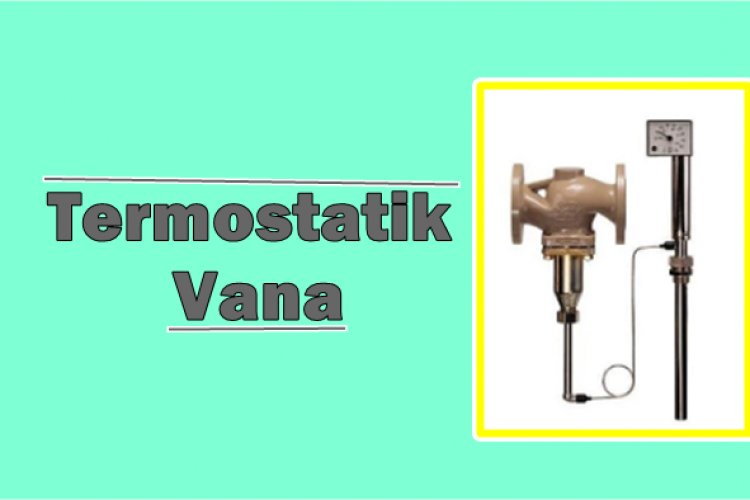 Termostatik Vana